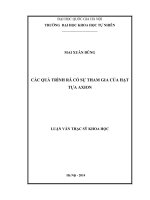 Các quá trình rã có sự tham gia của hạt tựa Axion