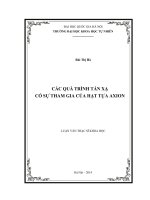 Các quá trình tán xạ có sự tham gia của hạt tựa Axion