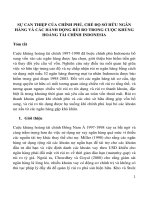 SỰ CAN THIỆP CỦA CHÍNH PHỦ, CHẾ ĐỘ SỞ HỮU NGÂN HÀNG VÀ CÁC HÀNH ĐỘNG RỦI RO TRONG CUỘC KHỦNG HOẢNG TÀI CHÍNH INDONESIA