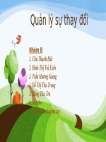 Phân tích tầm nhìn thay đổi tại 1 tổ chức và đánh giá tầm nhìn đó theo yêu cầu của 1 tầm nhìn thiết thực