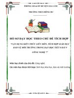 bài dự thi vận dụng kiến thức liên môn  tích hợp kiến thức giảng dạy bảo vệ môi trường