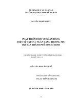 Phát triển dịch vụ ngân hàng điện tử tại các ngân hàng thương mại địa bàn thành phố Hồ Chí Minh ( Nguyễn Thị Bích Thủy )