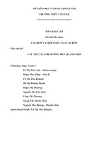 tổng hợp báo cáo các tiểu chủ đề trong chủ đề bài dạy các bon và các hợp chất của các bon