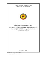 Đề cương chi tiết học phần Rèn luyện nghiệp vụ sư phạm thường xuyên (hệ cao đẳng và đại học mầm non)