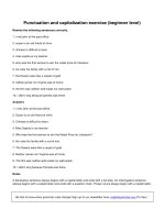 Punctuation and capitalization exercise beginner level