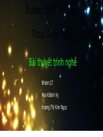 Thuyết trình về phần mềm em yêu thích:SKYPE