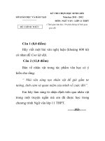 ĐỀ THI CHỌN HỌC SINH GIỎI MÔN NGỮ VĂN LỚP 11