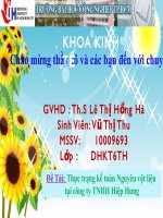 Thực trạng kế toán Nguyên vật liệu tại công ty TNHH Hiệp Hưng