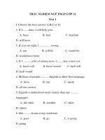 TRẮC NGHIỆM NGỮ PHÁP LỚP 12