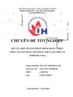 CHUYÊN ĐỀ TỐT NGHIỆPMỘT SỐ GIẢI PHÁP NHẰM HOÀN THIỆN CÔNG TÁC KẾ TOÁN VỐN BẰNG TIỀN TẠI CÔNG TY TNHH MS VINA