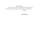 BỒI THƯỜNG GIẢI PHÓNG MẶT BẰNG  Ở HUYỆN SƠN DƯƠNG, TỈNH TUYÊN QUANG