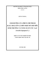 Ảnh hưởng của phun chế phẩm kali aba2 lên lá đến một số chỉ tiêu sinh trưởng và năng suất cây lạc (arachis hypogaea l )