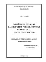 Nghiên cứu phân lập các hợp chất phenolic từ cây hồi đầu thảo (tacca plantaginea)