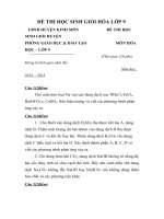 ĐỀ THI HỌC SINH GIỎI HÓA LỚP 9
