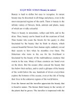 LUẬN MẪU 12 HAY Beauty in nature