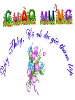 Bài giảng đại lượng tỉ lệ thuận