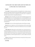 HƯỚNG ĐẾN VIỆC ĐỊNH NGHĨA MỘT HỆ THỐNG ĐO LƯỜNG HIỆU SUẤT KINH DOANH