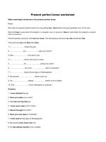 Present perfect tense worksheet