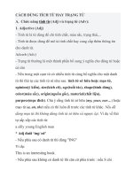 CÁCH DÙNG TÍCH TỪ HAY TRẠNG TỪ