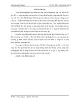 THỰC TRẠNG KẾ TOÁN TÀI SẢN CỐ ĐỊNH TẠI CÔNG TY CỔ PHẦN ĐẦU TƯ THƯƠNG MẠI VÀ DỊCH VỤ HẢI ANH. 