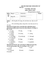 ĐỀ THI CHỌN HỌC SINH GIỎI CẤP HUYỆN MÔN ANH 7