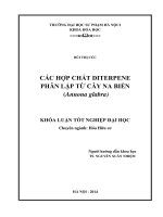 Các hợp chất diterpene phân lập từ cây na biển (annaona glabra)