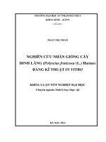 Nghiên cứu nhân giống cây đinh lăng (polyscias fruticosa (l ) harms) bằng kĩ thuật IN vitro