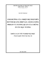Ảnh hưởng của nhiệt độ thấp đến huỳnh quang diệp lục, hàm lượng prolin và tương quan của chúng ở cây đậu tương