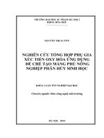 Nghiên cứu tổng hợp phụ gia xúc tiến oxy hoá ứng dụng để chế tạo màng phủ nông nghiệp phân huỷ sinh học