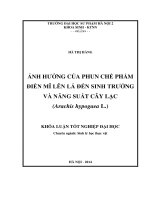 Ảnh hưởng của phun chế phẩm điền mĩ lên lá đến sinh trưởng và năng suất cây lạc ( arachis hypogaea l )