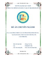 Giải pháp phát triển các sản phẩm phái sinh tiền tệ tại Sacombank
