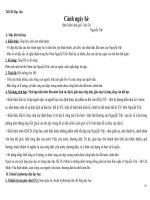 giáo án bài cảnh ngày hè