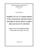 Nghiên cứu xử lý amoni trong nước ngầm bằng phương pháp hấp thụ sử dụng than cacbon hoá sản xuất từ lõi ngô