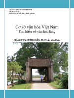 Cơ sở văn hóa Việt Nam Tìm hiểu về văn hóa làng