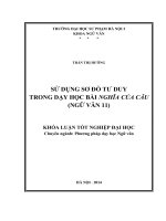 Sử dụng sơ đồ tư duy trong dạy học bài nghĩa của câu (ngữ văn 11)