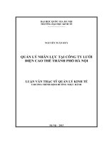Quản lý nhân lực tại Công ty Lưới điện cao thế thành phố Hà Nội  Luận văn ThS. Kinh doanh và quản lý