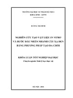 Nghiên cứu tạo vật liệu in vitro và bước đầu nhân nhanh cây xạ đen bằng phương pháp tạo đa chồi