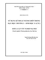Sử dụng kĩ thuật mảnh ghép trong dạy học chương 1, sinh học 11