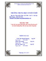 Cuộc thi vận dụng kiến thức liên môn để giải quyết tình huống một số biện pháp giảm thiểu ô nhiễm môi trường tại địa phương