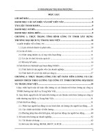 Phân tích lương và các khoản trích theo lương của công ty TNHH xây dựng thương mại dịch vụ Trang Mai Việt