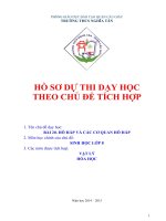 hồ sơ dự thi dạy học theo chủ đề tích hợp bài 20  hô hấp và các cơ QUAN hô hấp