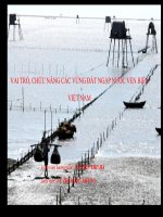 VAI TRÒ, CHỨC NĂNG CÁC VÙNG ĐẤT NGẬP NƯỚC VEN BIỂN VIỆT NAM