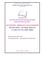 hồ sơ dự thi dạy học theo chủ đề tích hợp liên môn luật hấp dấp định luật vạn vật hấp dẫn nguyên nhân tác động tích cực và tiêu cực của thủy triều
