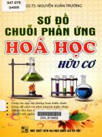 sơ đồ chuỗi phản ứng hóa học hữu cơ