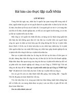 Đào tạo và phát triển nhân lực tại Công ty TNHH Ngô Việt