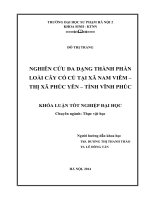 Nghiên cứu đa dạng thành phần loài cây có củ tại xã nam viêm thị xã phúc yên tỉnh vĩnh phúc