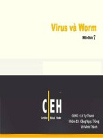 Báo cáo An ninh mạng- Virus và Worm