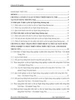 Phát triển dịch vụ thẻ tại Ngân hàng Nông nghiệp và phát triển nông thôn Việt Nam - Chi nhánh Trung Yên