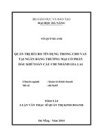 Quản trị rủi ro tín dụng trong cho vay tại ngân hàng TMCP dầu khí toàn cầu, chi nhánh Gia Lai