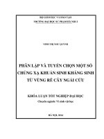 Phân lập và tuyển chọn một số chủng xạ khuẩn sinh kháng sinh từ vùng rễ cây ngải cứu